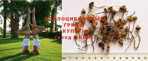 ешки Алзамай