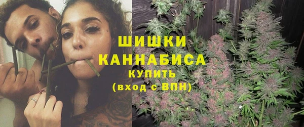 ешки Алзамай