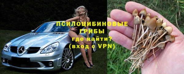 не бодяженный Алексин