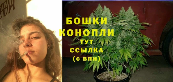 ешки Алзамай