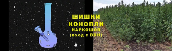 ешки Алзамай