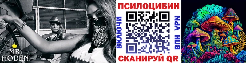 Псилоцибиновые грибы Psilocybine cubensis Волгодонск